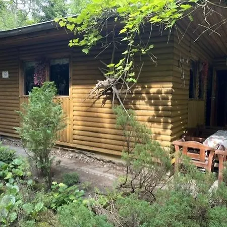 Holiday home Dom Letniskowy Konwaliowa Polana Sila